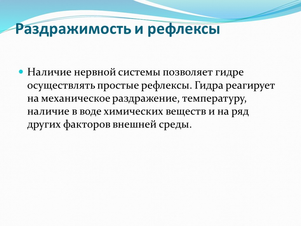 Кракен не заходит